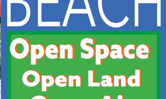 2019 Open Space Town Hall Project Booklet