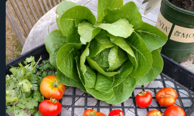 We look forward to seeing you at the next Town Hall! March 12th at South Shore from 6-8:30