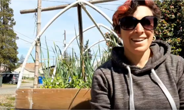 Beet Box: Garden Planning 2020