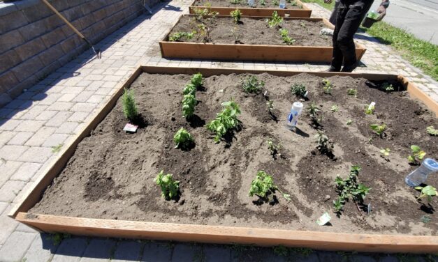 RBAC Garden Update