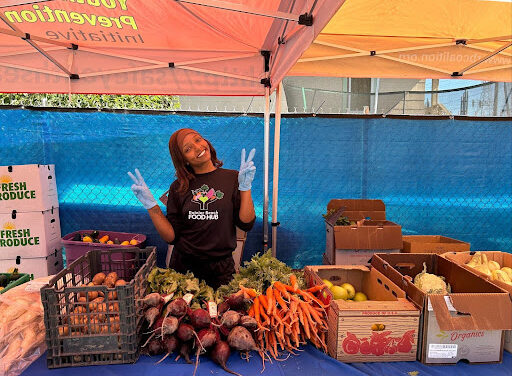 Farmstand/CSA boxes update